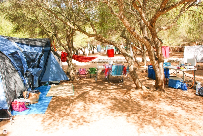 camping Son Bou Menorca 5
